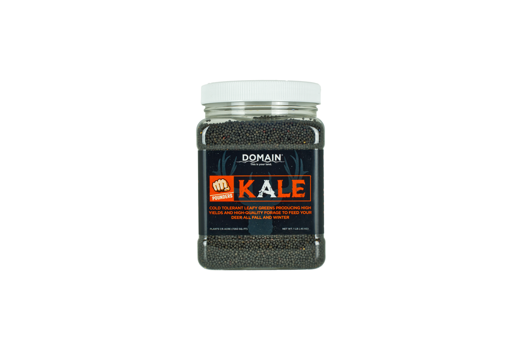 Domain Pounder - Kale